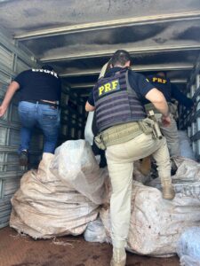 Polícia Civil de Goiás Desmantela Esquema de Notas Fiscais Falsas no Transporte de Peças Ilícitas 1 WhatsApp Image 2025 02 19 at 08.01.44