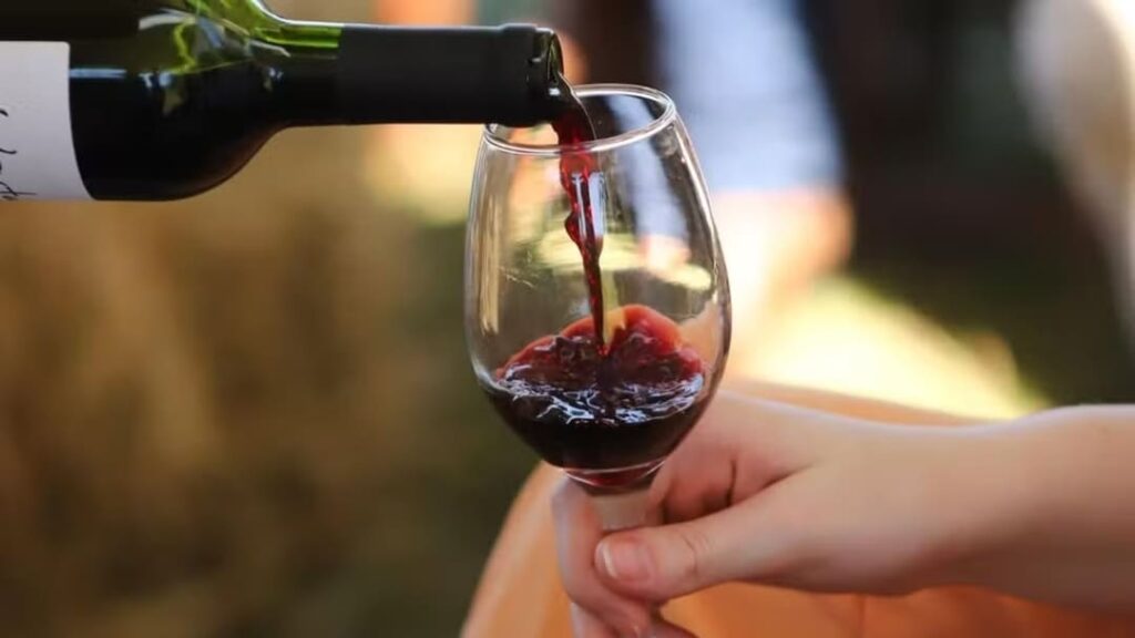 A Rota dos Vinhos em Goiás: oportunidade de mercado com o acordo Mercosul-União Europeu 9 cerrado 1 1