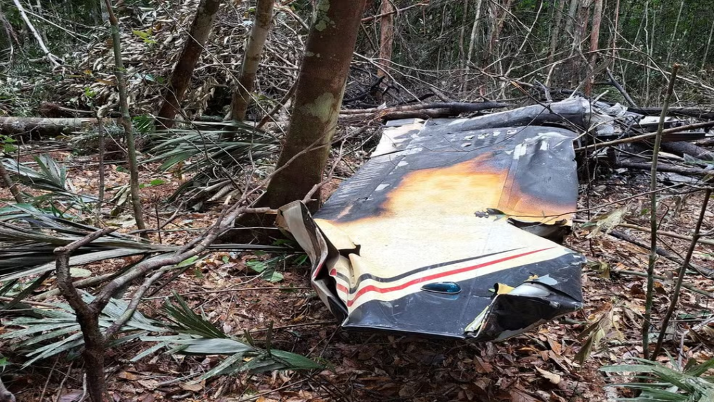 FAB Derruba Avião Venezuelano com Carga de Drogas; Vídeo 7 Foto: Divulgação FAB