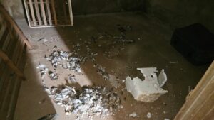 PCGO Realiza Resgate de Animais em Situação de Maus-Tratos em Goiânia 1 whatsapp image 2025 02 27 at 20.21.53 1