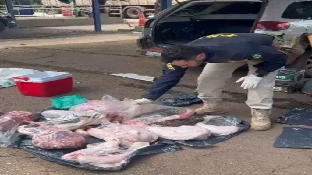 PRF Realiza Duas Apreensões de Animais Silvestres em Goiás: Mais de 200 Aves e Diversos Animais Abatidos 8 Captura de tela 26 3 2025 102622 web.whatsapp.com 1