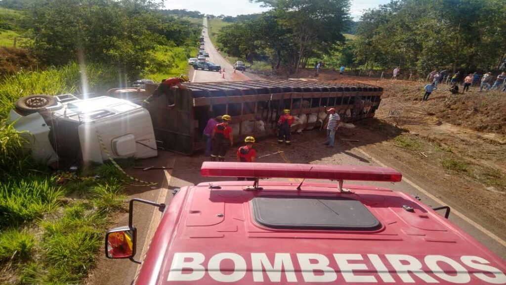 Tragédia na GO-222: Acidente de Trânsito Entre Inhumas e Araçu Deixa uma Vítima Fatal 9 WhatsApp Image 2025 03 13 at 07.26.20 1