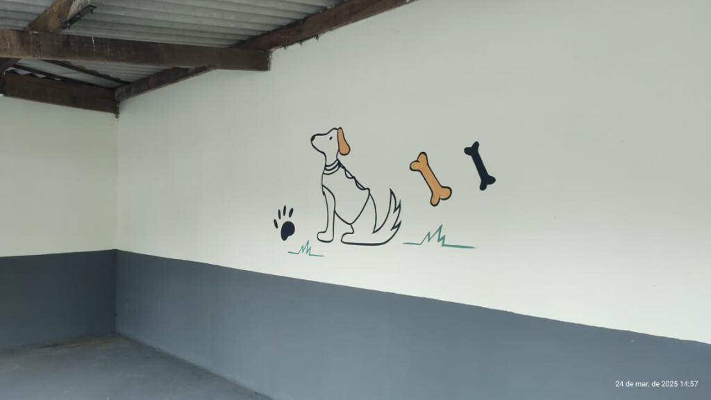 Hidrolândia Inaugura o Maior Canil Público do Estado para Atender Animais em Situação de Rua 3 WhatsApp Image 2025 03 25 at 10.58.07
