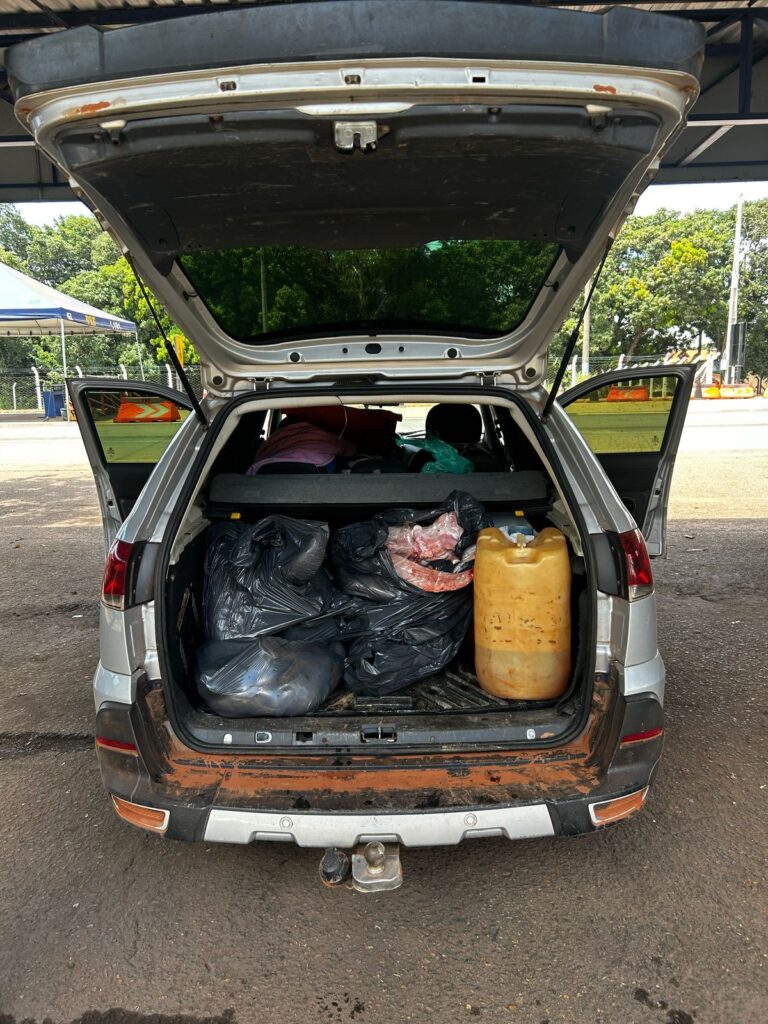 PRF Realiza Duas Apreensões de Animais Silvestres em Goiás: Mais de 200 Aves e Diversos Animais Abatidos 2 WhatsApp Image 2025 03 26 at 08.01.02 1