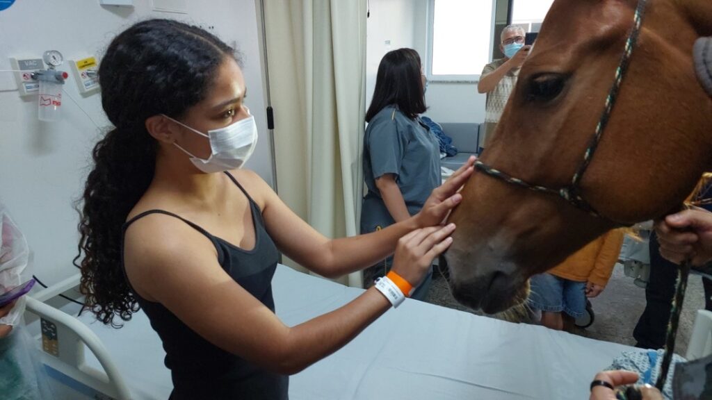 HMAP Adota Equoterapia com Égua da PM-GO para Auxiliar no Tratamento de Pacientes 1 WhatsApp Image 2025 03 26 at 10.58.19 1