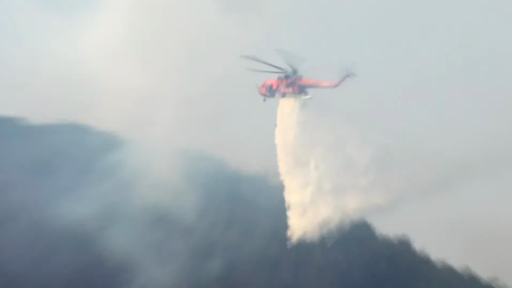 Coreia do Sul Enfrenta Incêndios Florestais Devastadores no Sudeste do País 5 incêndio florestal na Coreia do Sul Reprodução/Reuters