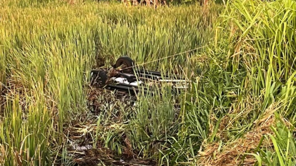 Tragédia em Maurilândia (GO): Duas Pessoas Morrem Após Caminhonete Ser Atingida por Capivara na BR-452 6 image 2025 03 17T104608.018 1