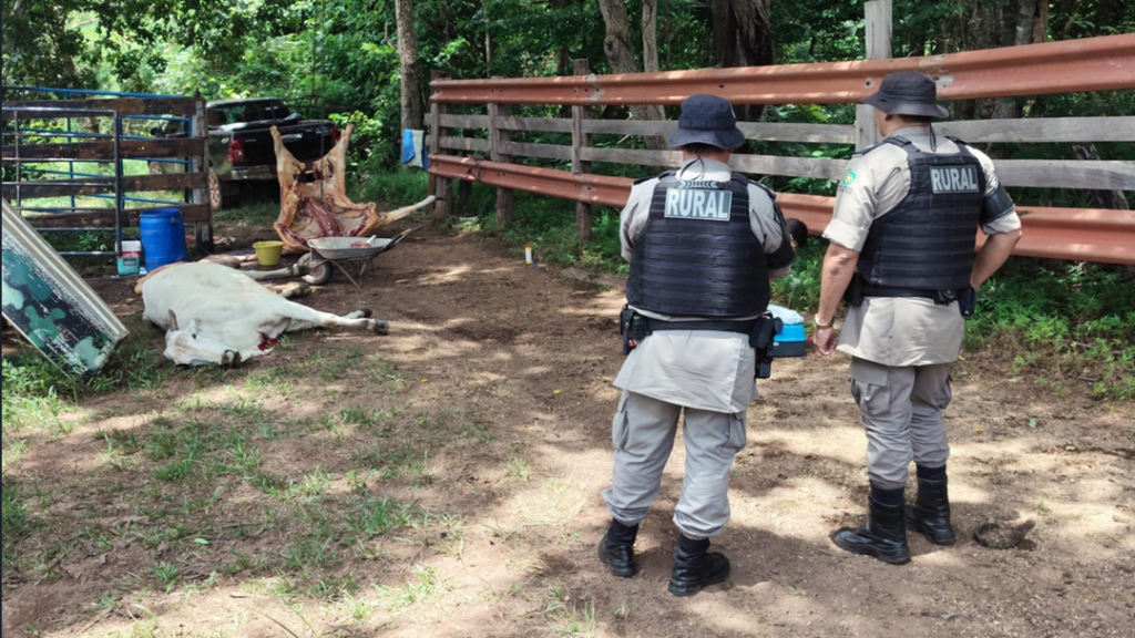 PCGO e Agrodefesa Interditam Outro Abatedouro Clandestino em Goiás 17 image 37 1