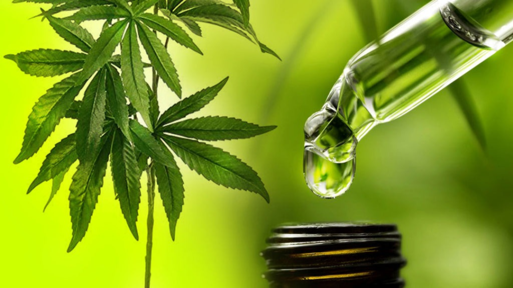 Anvisa Abre Consulta Pública sobre Mudanças nas Regras de Cannabis 1 image 64 2