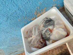 Polícia Civil Prende Proprietário de Restaurante Clandestino em Goiânia 3 pcgo2