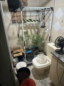 PCGO Desmantela Rede de Produção e Venda Ilegal de Produtos Derivados de Maconha 1 whatsapp image 2025 03 20 at 08.53.51 2