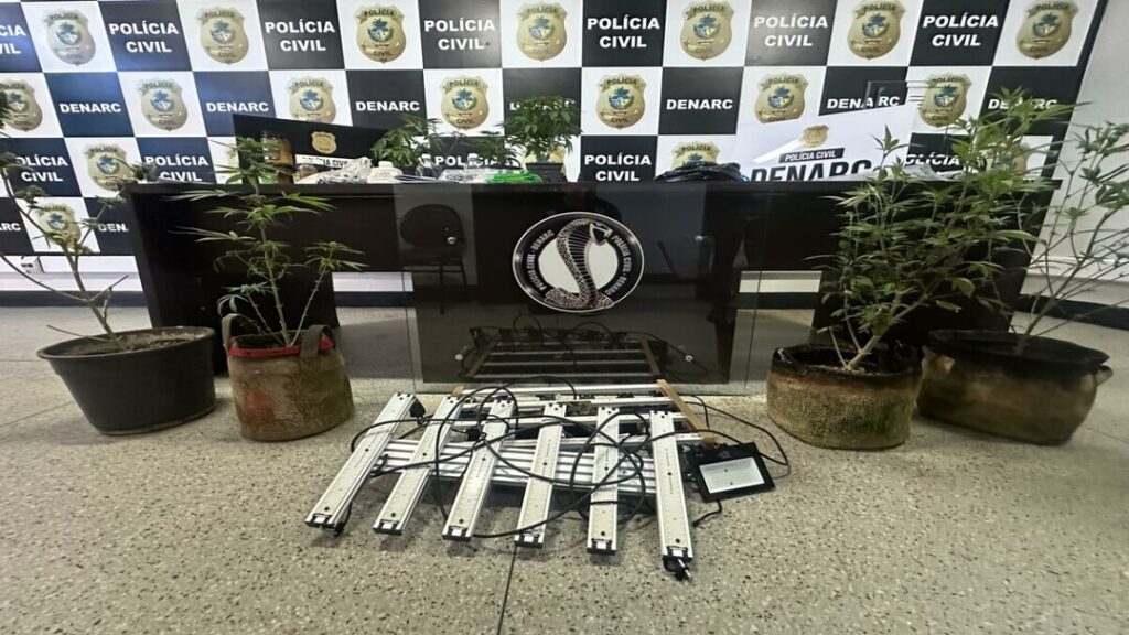 PCGO Desmantela Rede de Produção e Venda Ilegal de Produtos Derivados de Maconha 5 whatsapp image 2025 03 20 at 08.53.53 2 1