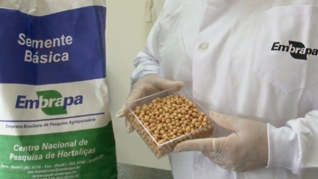Batata-doce e grão-de-bico brasileiros são testados no espaço em missão histórica da Blue Origin 10 68051e3a225bf 2