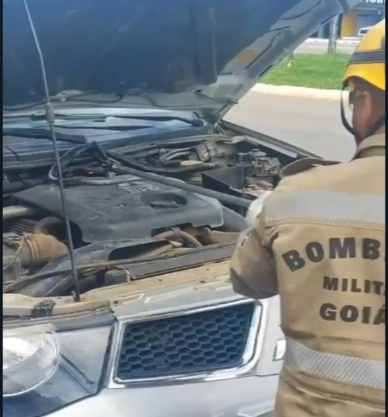Bombeiros Resgatam Cobra Encontrada no Motor de Carro em Anápolis 4 Captura de tela 9 4 2025 84333 web.whatsapp.com 2