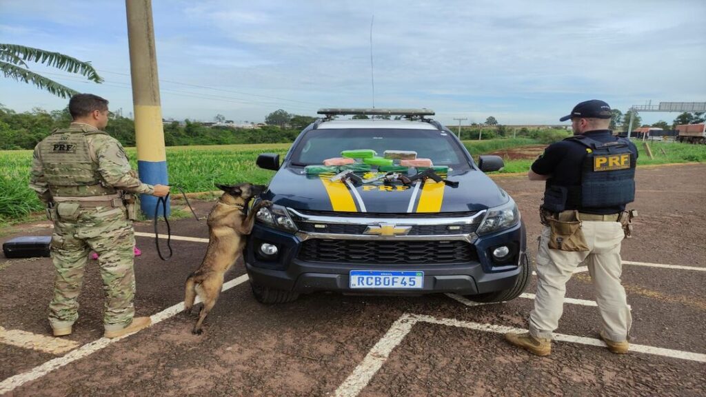 Passageira de Ônibus é Presa com Pistolas, Revólver e Maconha em Bagagem 8 WhatsApp Image 2025 04 09 at 10.10.49 1