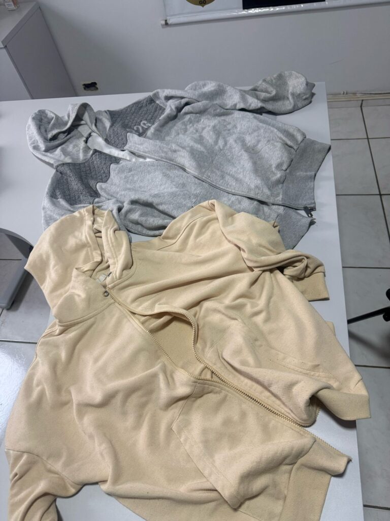 Polícia Civil de Goiás Realiza Prisão de Suspeito de Estupro em Anápolis 1 WhatsApp Image 2025 04 14 at 08.00.47