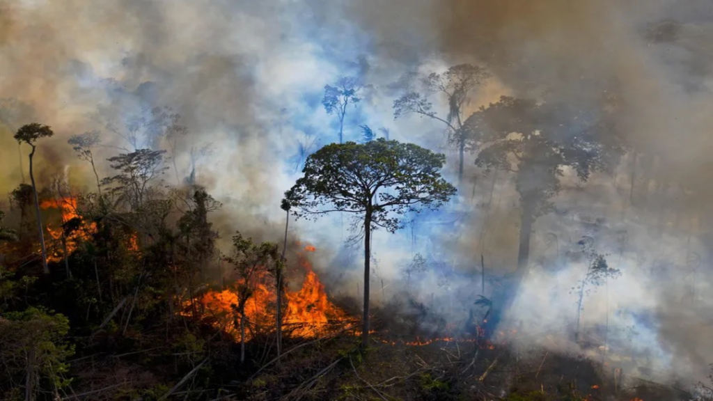 Aumento Alarmante na Degradação Florestal da Amazônia em 2025: Uma Crise Ambiental Urgente 4 image 2025 04 11T085516.604 2