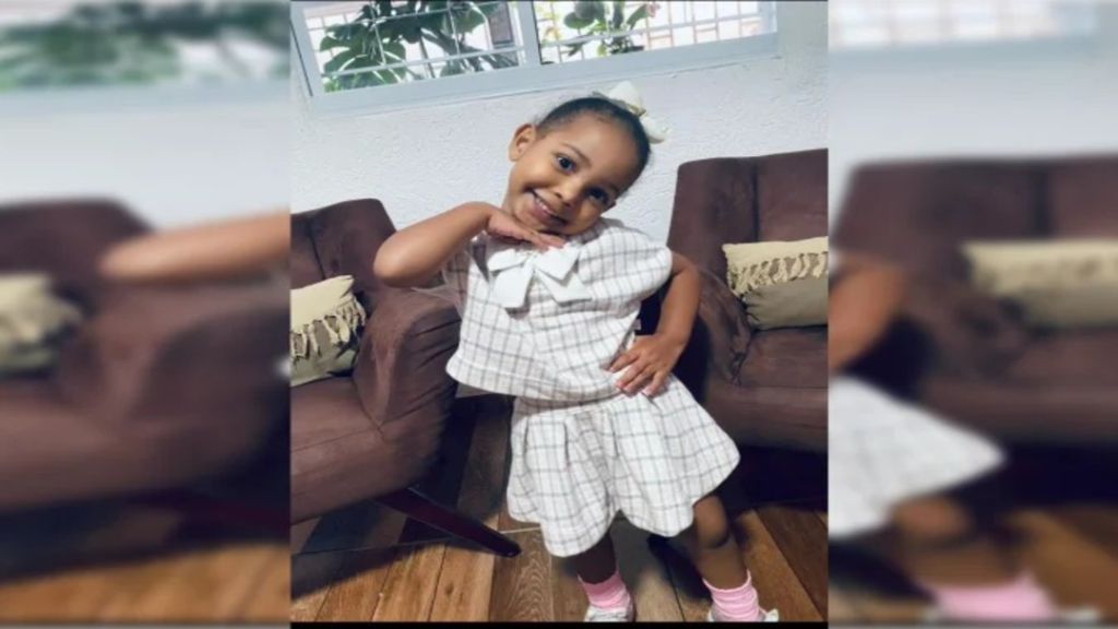 Criança de 3 Anos Morta a Tiros Durante Ataque em Festa de Aniversário em Ceilândia 3 image 2025 04 15T090027.672 1 1
