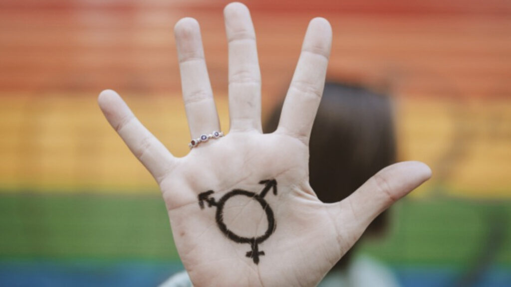 CFM Proíbe Terapias Hormonais para Menores de 18 Anos e Estabelece Nova Idade Mínima para Cirurgias de Transição 8 CFM Proíbe Terapias Hormonais para Menores de 18 Anos