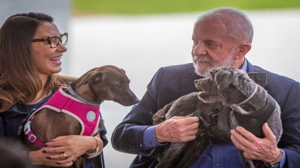 Lula Lança Sistema SinPatinhas para Cadastro de Animais Domésticos 7 Lula lança sinpatinhas