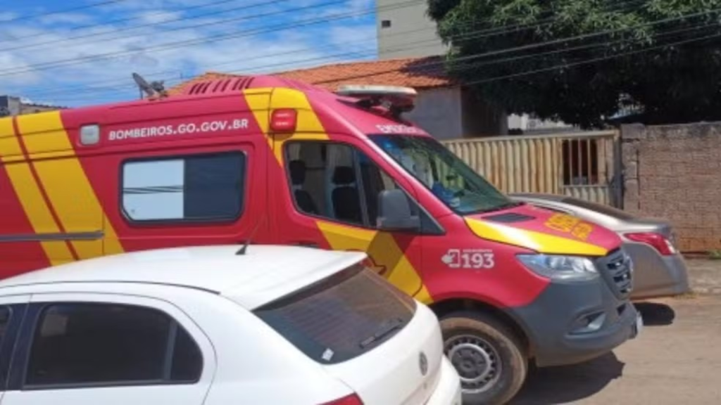 Mulher é Internada Após Confundir Inseticida com Remédio para Estômago 2 image 97 1