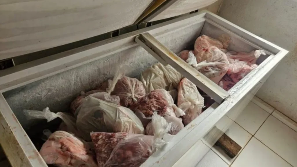 Fiscalização Encontra Mais de 1 Tonelada de Carne Imprópria para Consumo em Aragoiânia 1 Carne imprópria para consumo