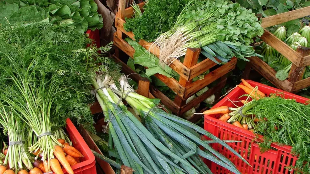 Custo da Cesta Básica Ideal Chega a R$ 432 em Abril, Mas 70% da População Não Consegue Arcar com Alimentação 1 Cesta Básica alta