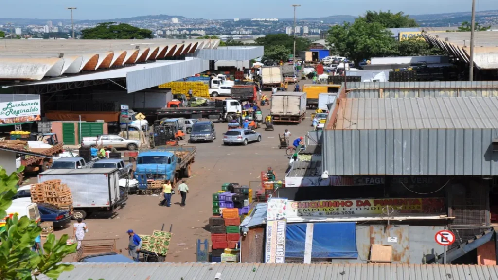 Ceasa de Goiás Anuncia Construção de Novo Galpão de 6,4 Mil Metros Quadrados 3 Construção de galpão ceasa