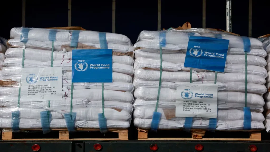 Alimentos e Ajuda Humanitária Chegam a Gaza, mas Necessidades Continuam a Crescer 3 alimentos chegam em Gaza