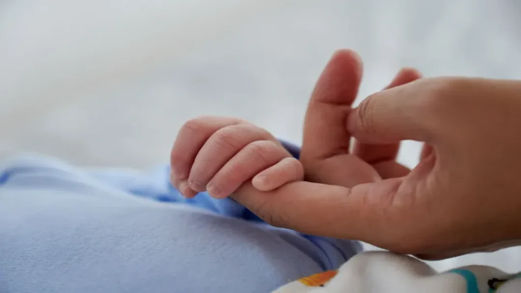 Lei do Luto Parental é Sancionada: Entenda as Mudanças Para Famílias Enlutadas 9 Lei do Luto Parental é sancionada