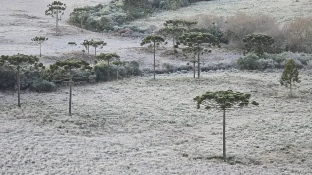 Ciclone Extratropical Ameaça o Sul do Brasil Com Ventos de Até 140 km/h e Possibilidade de Neve 3 Ciclone extratropical ameaça o Sul do Brasil com ventos de até 140 km/h e possibilidade de neve