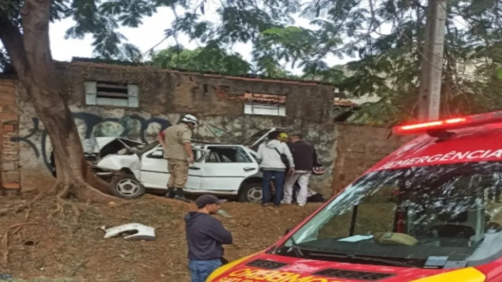 Quatro Pessoas Ficam Feridas Após Carro Sair da Pista e Bater em Árvore na Marginal Botafogo 2 Imagem do acidente reprodução CBMGO