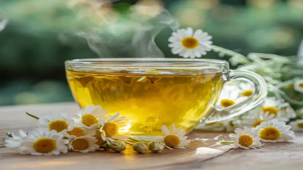 Chás Anti-inflamatórios Ganham Destaque nas Redes: O Que a Ciência Revela sobre Camomila, Erva-Doce e Chá Verde 1 Foto: Adobe Stock/Reprodução