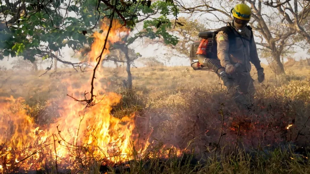 Governo de Goiás Lança Nesta Sexta-feira (13) Operação Cerrado Vivo 2025 do CBMGO 1 Governo de Goiás lança nesta sexta-feira (13) Operação Cerrado Vivo 2025 do CBMGO