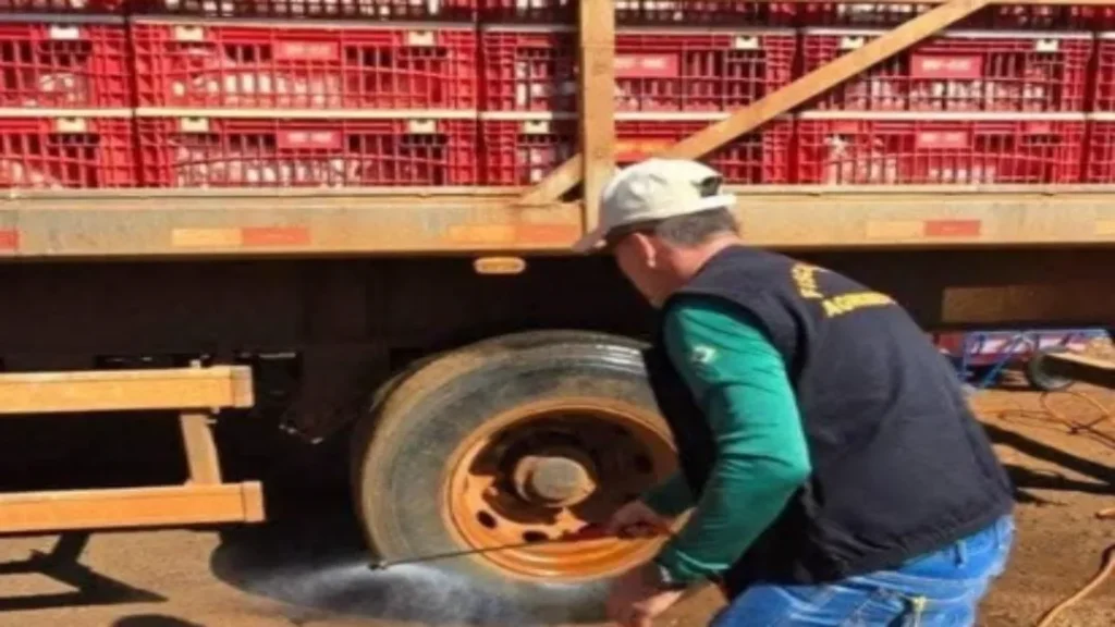 Fazenda no Interior de Goiás é Embargada Após Surto de Gripe Aviária que Matou Mais de 100 Aves 1 Fazenda no interior de Goiás é embargada após surto de gripe aviária que matou mais de 100 aves