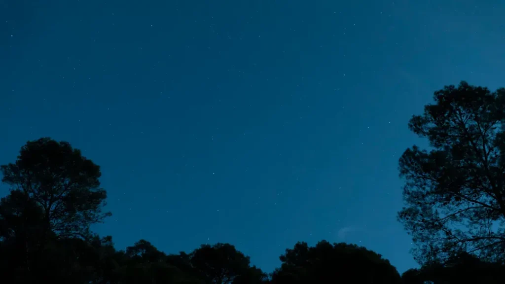 Solstício de Inverno Acontece Nesta Sexta (20) e Marca a Noite Mais Longa do Ano 3 Solstício de Inverno acontece nesta sexta (20) e marca a noite mais longa do ano