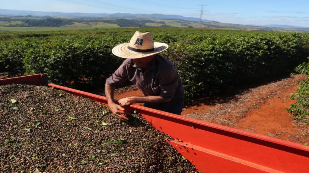 Governo Federal Confirma Corte Significativo no Orçamento do Seguro Rural para 2025 4 Governo Federal Confirma Corte Significativo no Orçamento do Seguro Rural para 2025