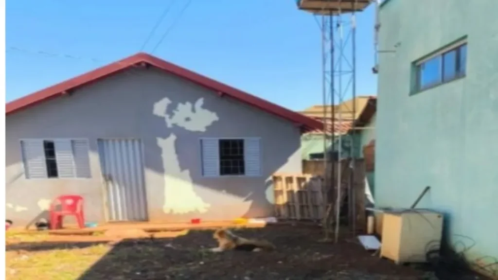 PCGO Cumpre Medidas em Investigação e Resgata Cães em Situação de Maus-Tratos em Goiatuba 9 Polícia Civil de Goiás cumpre medidas em investigação e resgata cães em situação de maus-tratos em Goiatuba