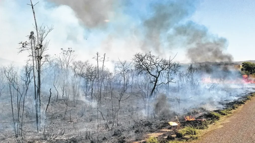 Queimadas em Goiás Caem 34% no Mês de Maio, Aponta Cimehgo 3 Queimadas em Goiás caem 34% no mês de maio, aponta Cimehgo