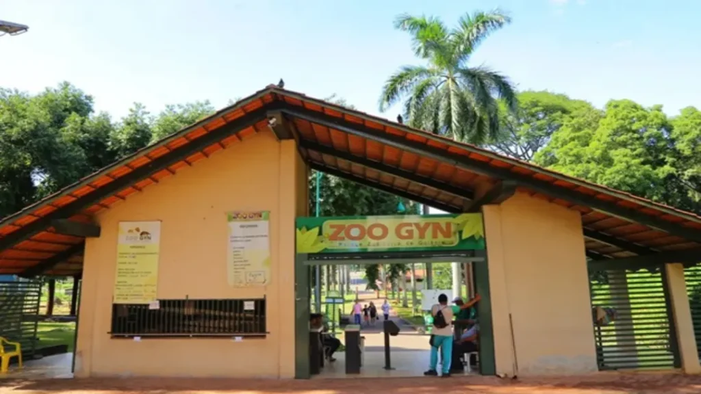 Zoológico de Goiânia descarta gripe aviária em cisne negro morto, mas mantém medidas preventivas 5 Foto: Prefeitura de Goiânia/Divulgação