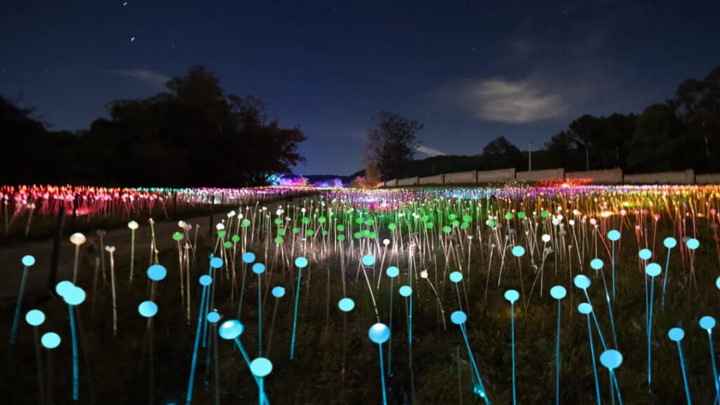Lumni Experience inaugura em Gramado com espetáculo noturno de luzes e magia 10 Foto: Divulgação