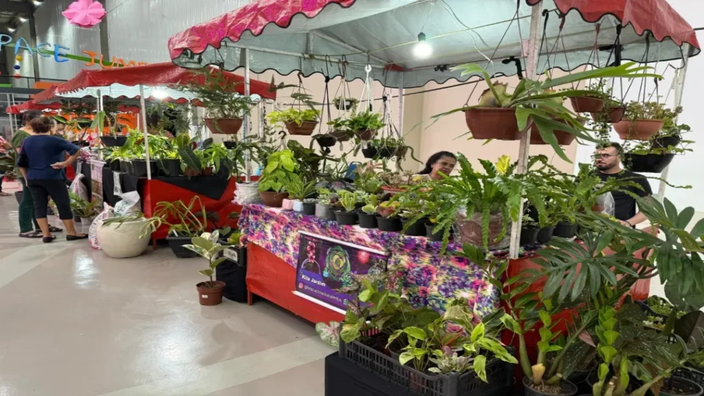 Evento em Goiânia Reúne Plantas e Presentes a Partir de R$ 10 Para o Dia dos Namorados 3 Evento em Goiânia reúne plantas e presentes a partir de R$ 10 para o Dia dos Namorados Bazar de plantas oferece entrada gratuita e brindes no centro de Goiânia