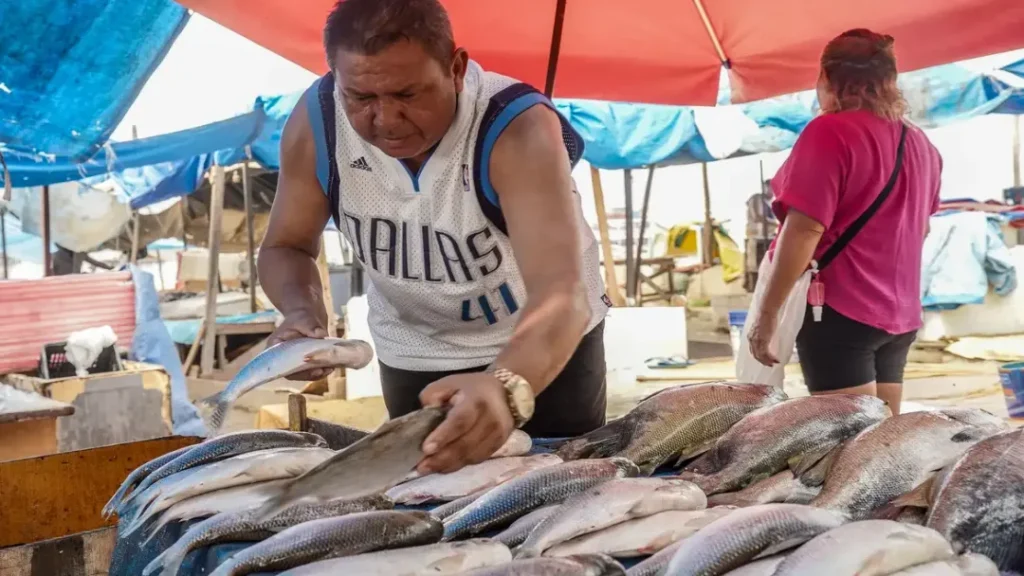 Produtores Brasileiros Sentem Impactos da Tarifa de 50% dos EUA em Produtos Exportados 2 Produtores brasileiros sentem impactos da tarifa de 50% dos EUA em produtos exportados