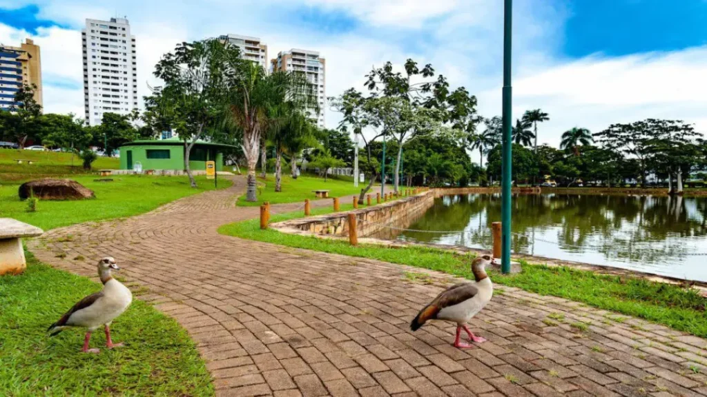 Goiás Entra em Alerta por Baixa Umidade do Ar em Todas as Regiões, Informa Cimehgo 10 Goiás entra em alerta por baixa umidade do ar em todas as regiões, informa Cimehgo