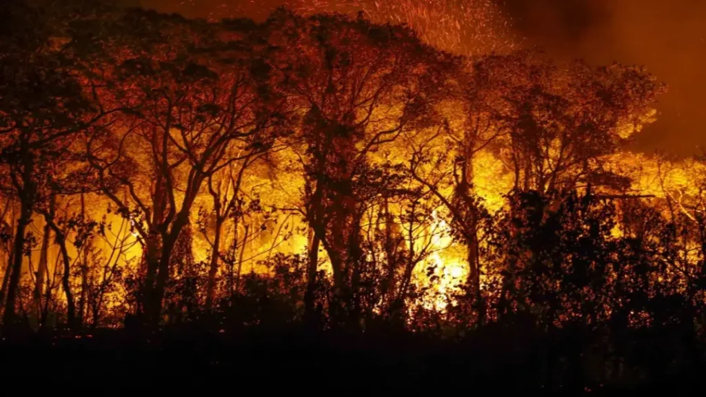 Decreto Suspende Uso do Fogo em Vegetação no Estado de Goiás 2 Decreto suspende uso do fogo em vegetação no Estado de Goiás