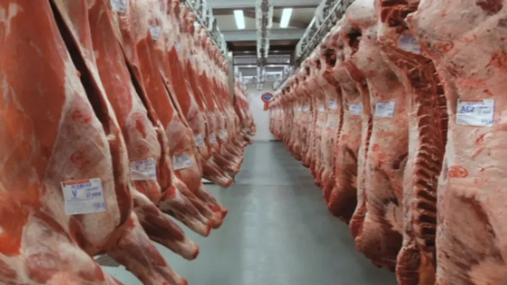 Preço da Carne Bovina Atinge Recorde Histórico nos EUA 2 Preço da Carne Bovina Atinge Recorde Histórico nos EUA