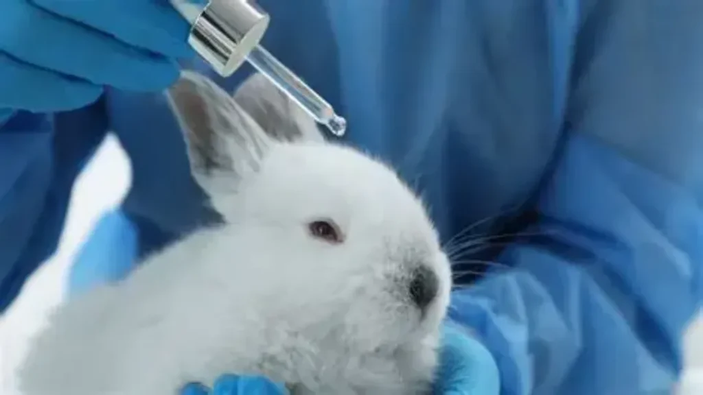Lula Sanciona Lei que Proíbe Testes de Cosméticos em Animais 4 Lula Sanciona Lei que Proíbe Testes de Cosméticos em Animais