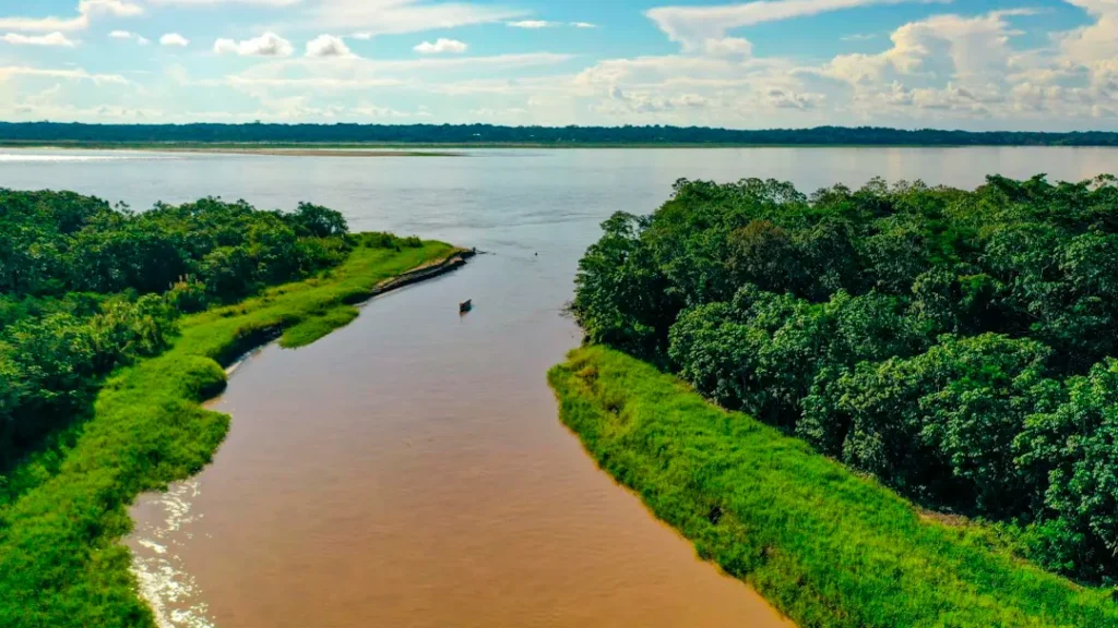 Projeto Aprovado na Câmara Reduz Regras Para Licença Ambiental e Traz riscos a foz do Amazonas 6 Projeto Aprovado na Câmara Reduz Regras Para Licença Ambiental e Traz riscos a foz do Amazonas