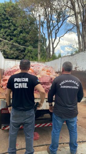 Estabelecimento é autuado por vender carne irregular para espetinhos na capital 1 PCGO e Agrodefesa apreendem mais de duas toneladas de produtos carneos armazenados de maneira irregular 1 281x500 1