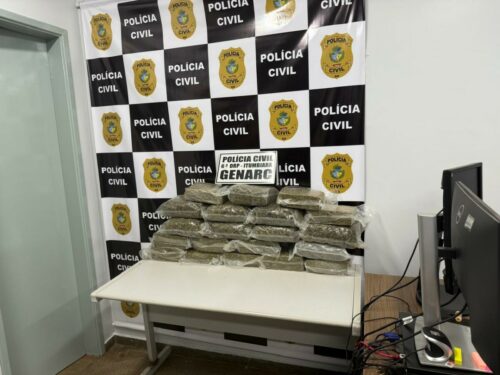 PCGO Apreende Carregamento de “Supermaconha” Avaliado em R$ 500 Mil em Itumbiara 1 PCGO intercepta carregamento de supermaconha avaliado em R 500 mil 2 500x375 1